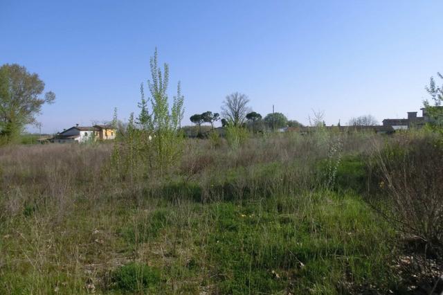 #9887 Terreno edificabile di complessivi 18.691 mq in vendita - foto 5