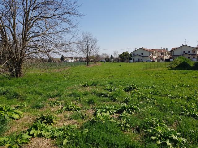 #9980 Terreno da lottizzare di 1.858 mq in vendita - foto 5
