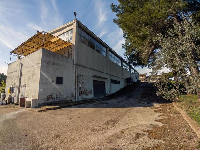 Artigianali in vendita