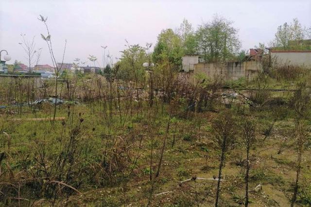 #15948 Area edificabile con residence in costruzione in vendita - foto 18