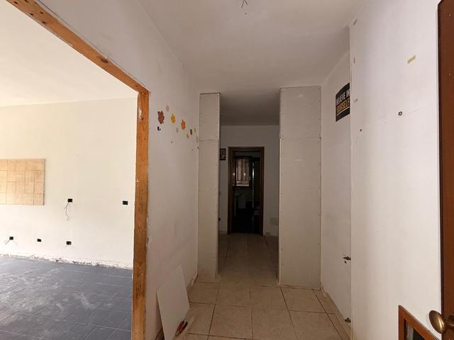 Grandi dimensioni in vendita