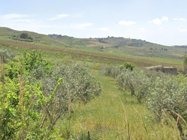 Agricoli in vendita