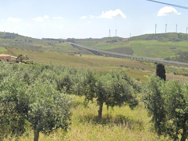 Agricoli in vendita