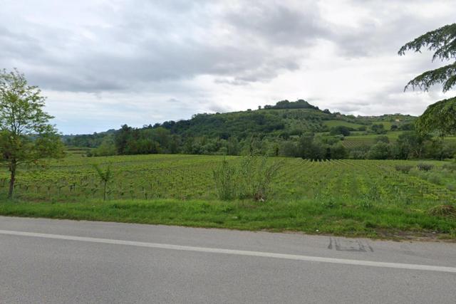 #24764 Terreno agricolo di 42.393 mq in vendita - foto 3