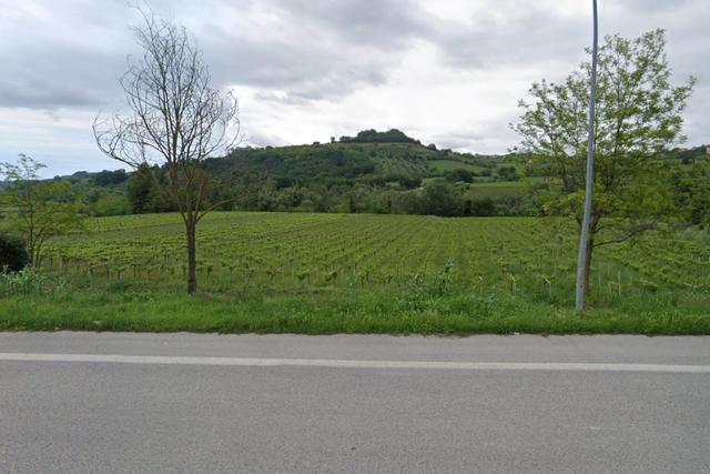 #24764 Terreno agricolo di 42.393 mq in vendita - foto 4