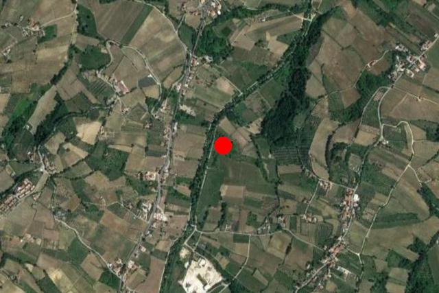 #24764 Terreno agricolo di 42.393 mq in vendita - foto 8