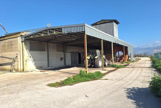 Magazzini in vendita