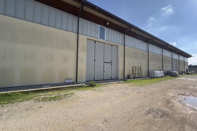 Artigianali in vendita