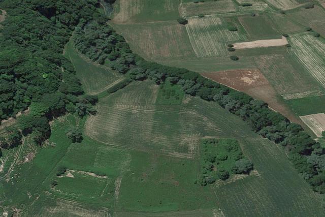Agricoli in vendita