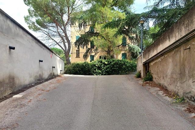 Agricoli in vendita
