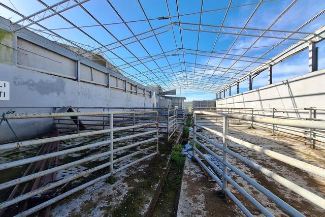 Stabilimenti produttivi in vendita