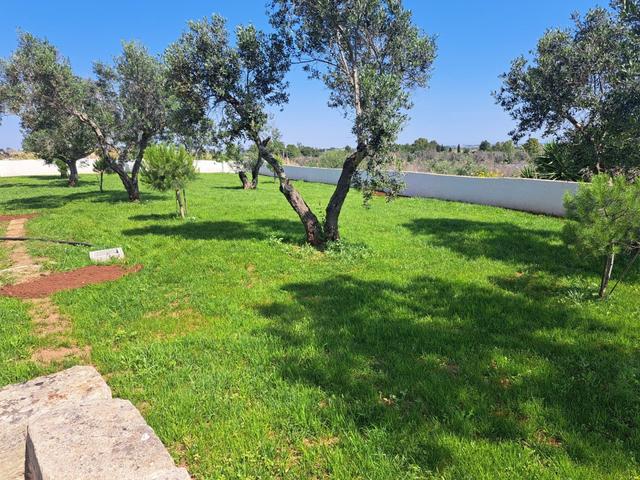 Agriturismi in vendita