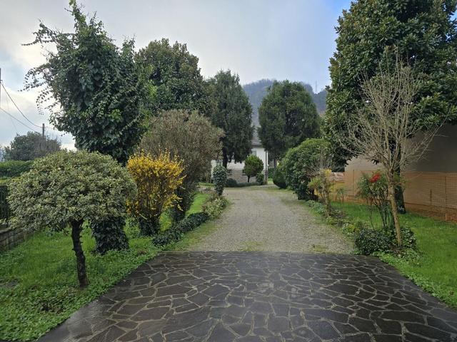 photogallery 2