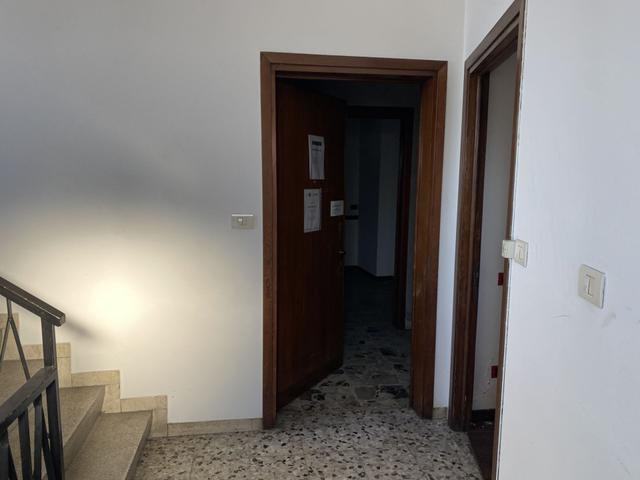 Grandi dimensioni in vendita