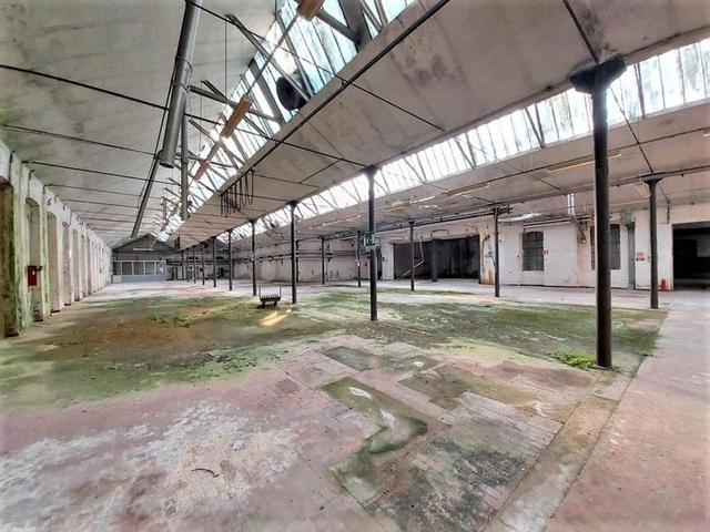 #14678 Stabilimento industriale con abitazione e terreni in vendita - foto 19