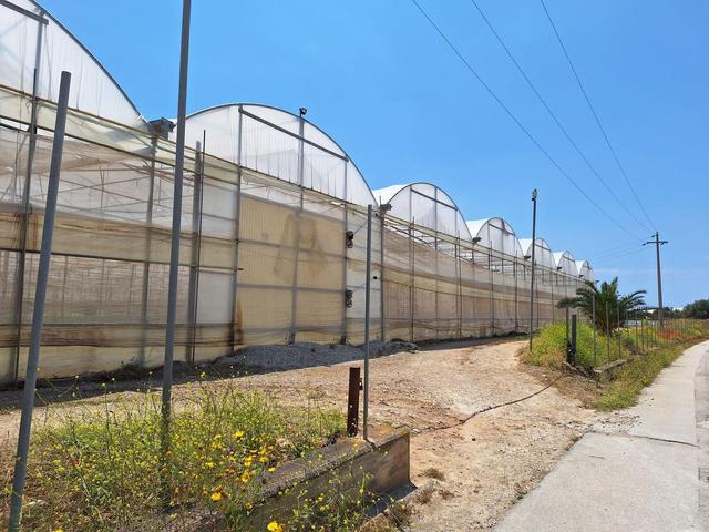 Agricoli in vendita