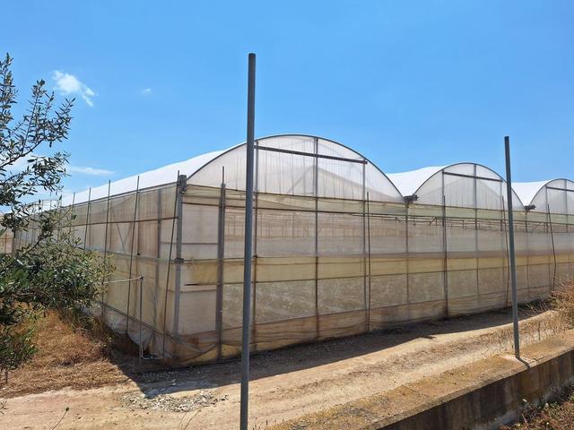 Agricoli in vendita