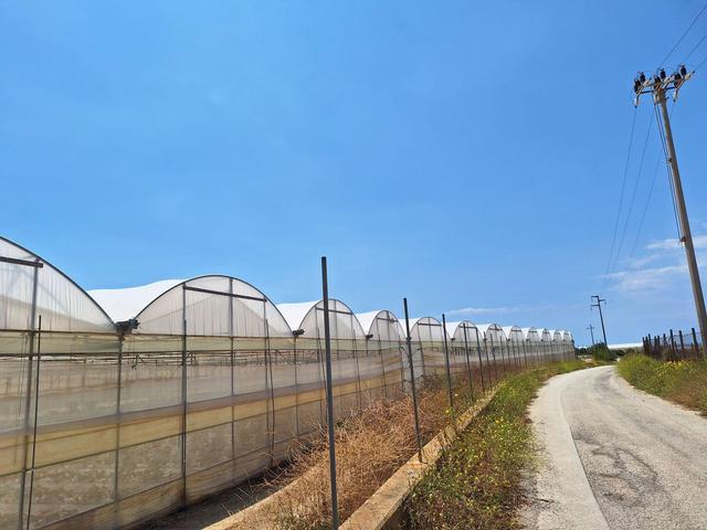 Agricoli in vendita