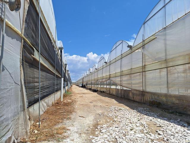 Agricoli in vendita