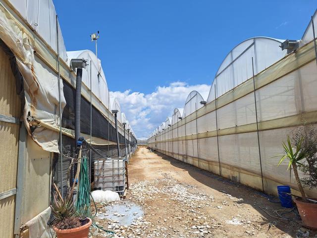 Agricoli in vendita