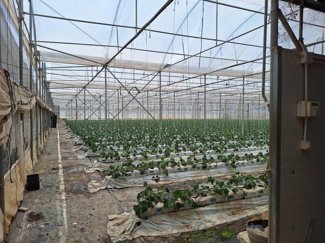 Agricoli in vendita