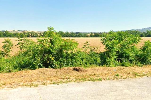 #2537333 Terreno industriale e in fascia di rispetto in vendita - foto 3