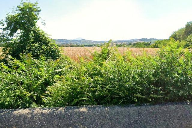 Edificabili in vendita