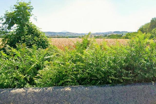 #2537333 Terreno industriale e in fascia di rispetto in vendita - foto 7