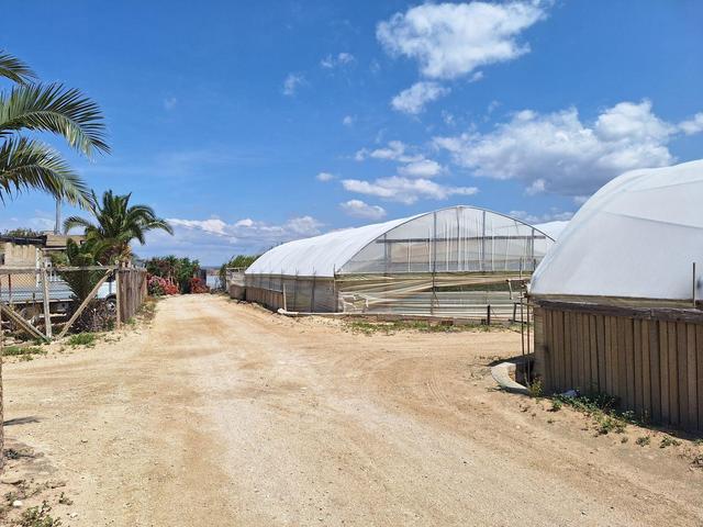 Agricoli in vendita