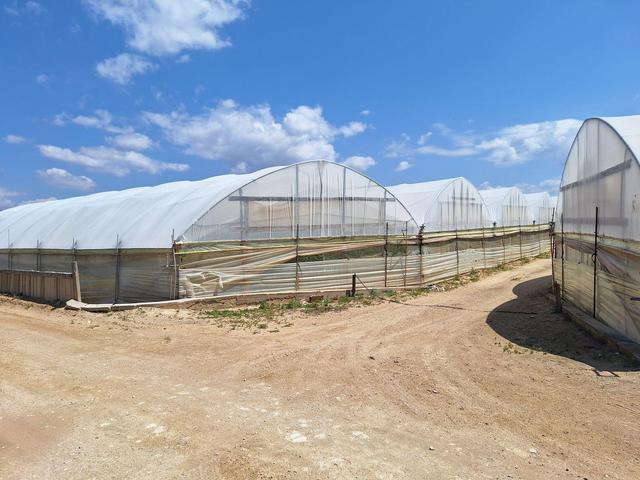 Agricoli in vendita