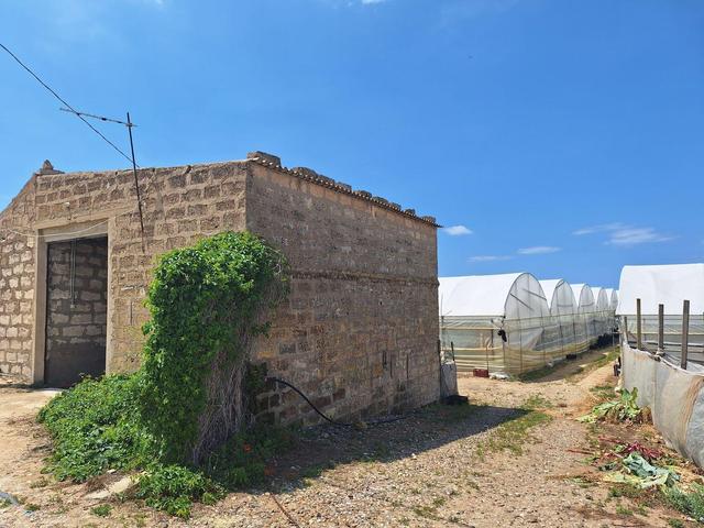 Agricoli in vendita