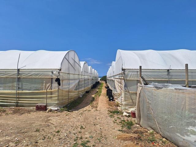 Agricoli in vendita