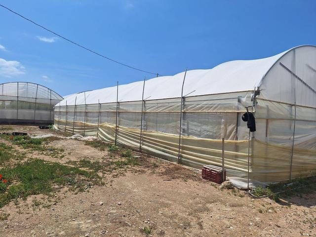 Agricoli in vendita