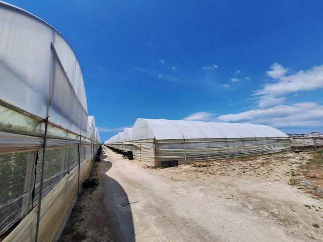 Agricoli in vendita