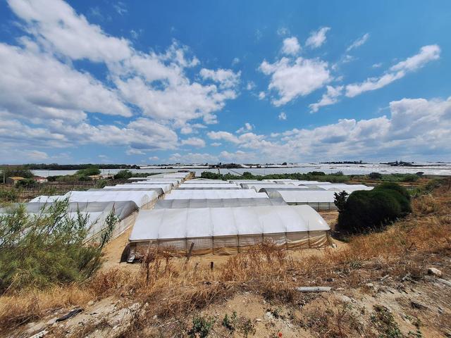 Agricoli in vendita