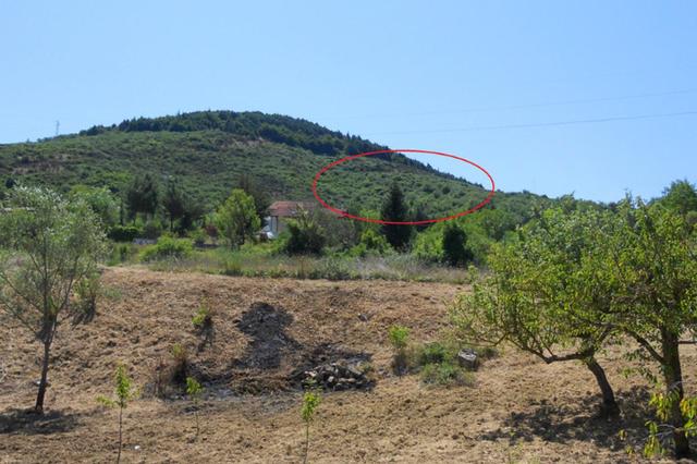 #9543 Quota 1/2 di terreno agricolo di 25.150 mq in vendita - foto 1