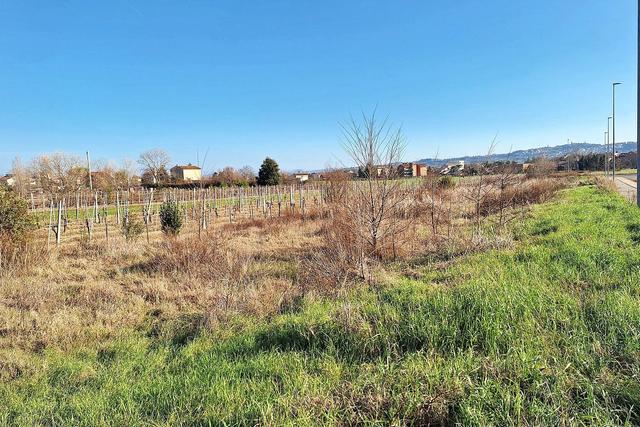 #22741 Area edificabile di 3505 mq in vendita - foto 11