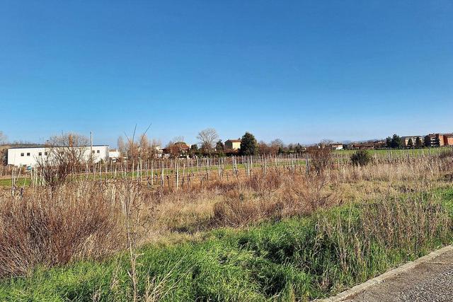 #22741 Area edificabile di 3505 mq in vendita - foto 10