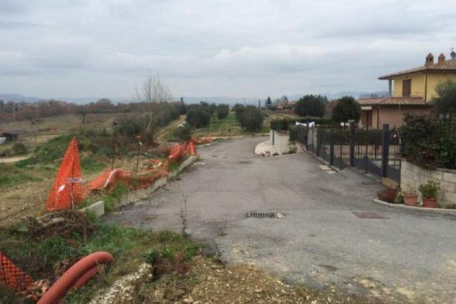 #3519 Area adibita a lottizzazione - “Il Leccio” in vendita - foto 10