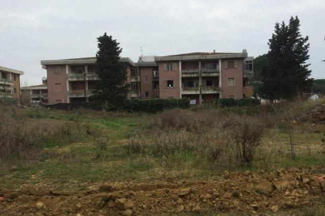 #3519 Area adibita a lottizzazione - “Il Leccio” in vendita - foto 7