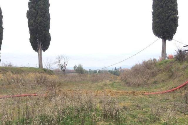 #3519 Area adibita a lottizzazione - “Il Leccio” in vendita - foto 5