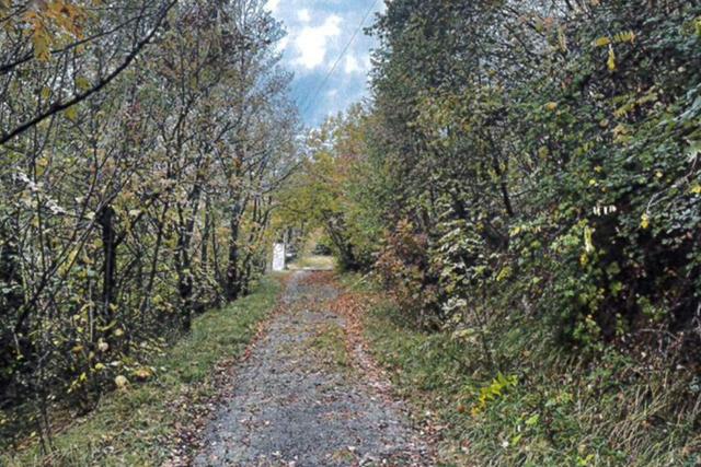 Agricoli in vendita