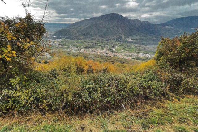 Agricoli in vendita