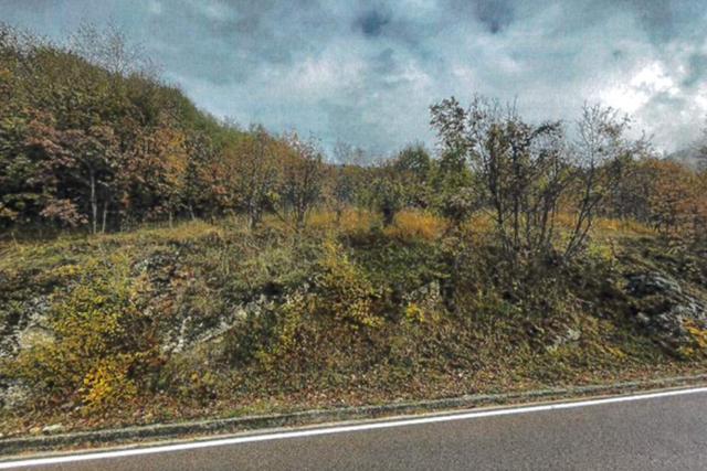 Agricoli in vendita