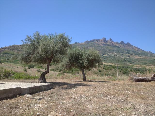 Indipendenti in vendita