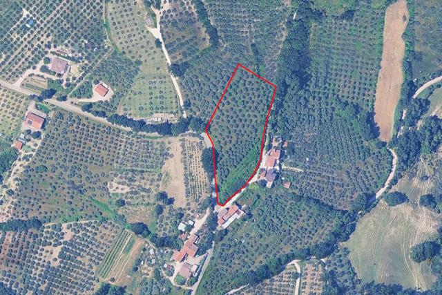 Agricoli in vendita