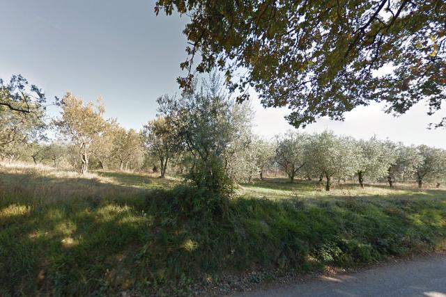 Agricoli in vendita