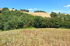 Agricoli in vendita