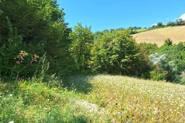 Agricoli in vendita