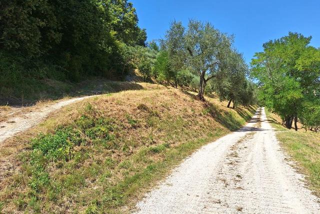 Agricoli in vendita